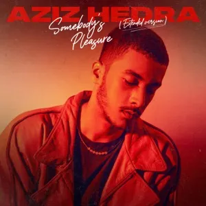 Aziz Hedra - Somebody's Pleasure