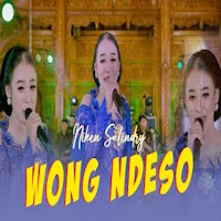 Niken Salindry - Wong Ndeso